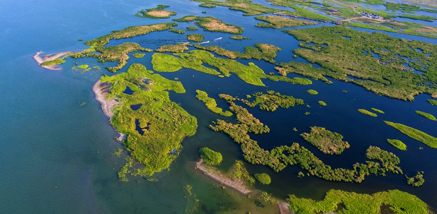 乌伦古湖黄金海岸鸟岛-3